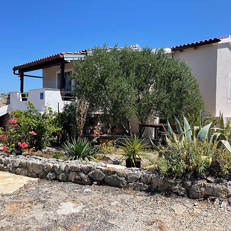 Holiday House Rusticana Sali, Dugi Otok Near Np Kornati Dış mekan fotoğraf