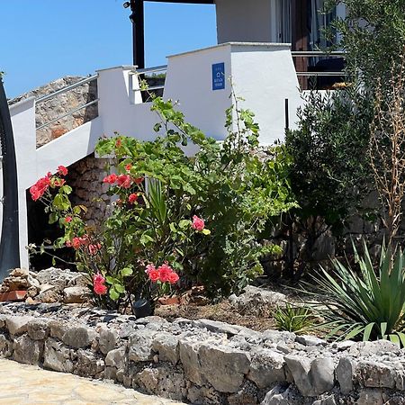 Holiday House Rusticana Sali, Dugi Otok Near Np Kornati Dış mekan fotoğraf