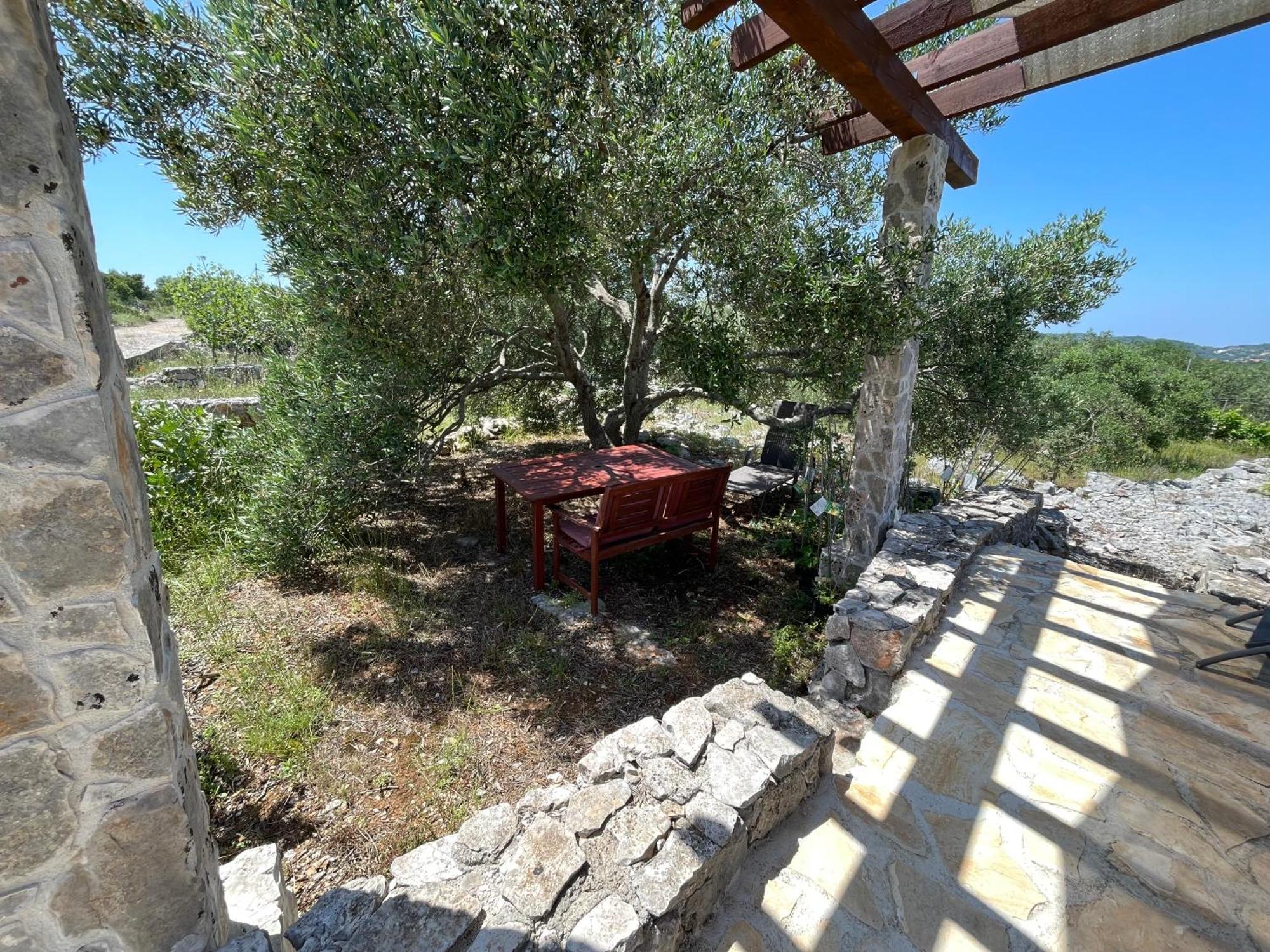 Holiday House Rusticana Sali, Dugi Otok Near Np Kornati Dış mekan fotoğraf
